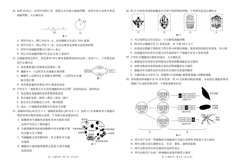 昭通市市直中学2025年春季学期高一年级第一次月考生物-试卷_2024-2025高二（7-7月题库）_2025年04月试卷(1)_0403云南省昭通市市直中学2024-2025学年高二下学期3月第一次月考