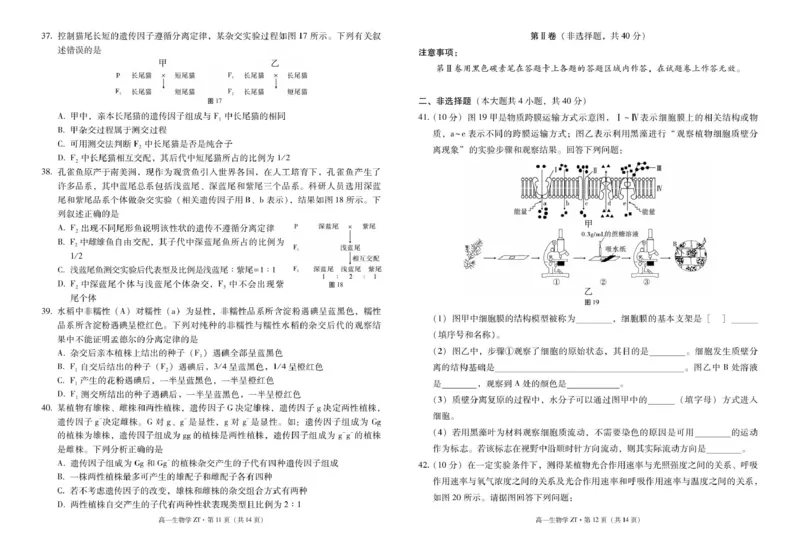 昭通市市直中学2025年春季学期高一年级第一次月考生物-试卷_2024-2025高二（7-7月题库）_2025年04月试卷(1)_0403云南省昭通市市直中学2024-2025学年高二下学期3月第一次月考