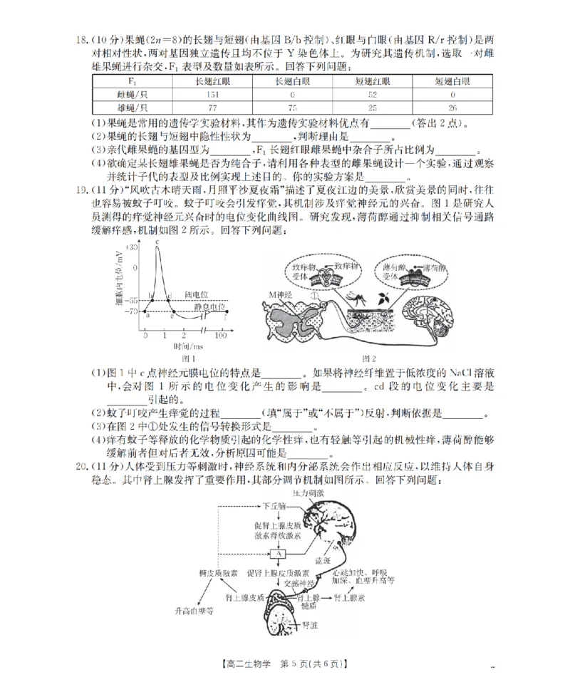 云南省2025-2026学年高二上学期期中考试（26-88B）生物_251201金太阳&middot;云南省2025-2026学年高二上学期期中考试（26-88B）（全）