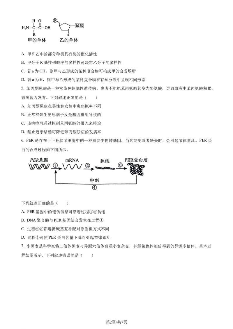 精品解析：2024届贵州省高三二模生物试题（原卷版）_2024年4月_01按日期_14号_2024届贵州省高三年级4月适应性考试_贵州省2024年高三年级4月适应性考试生物