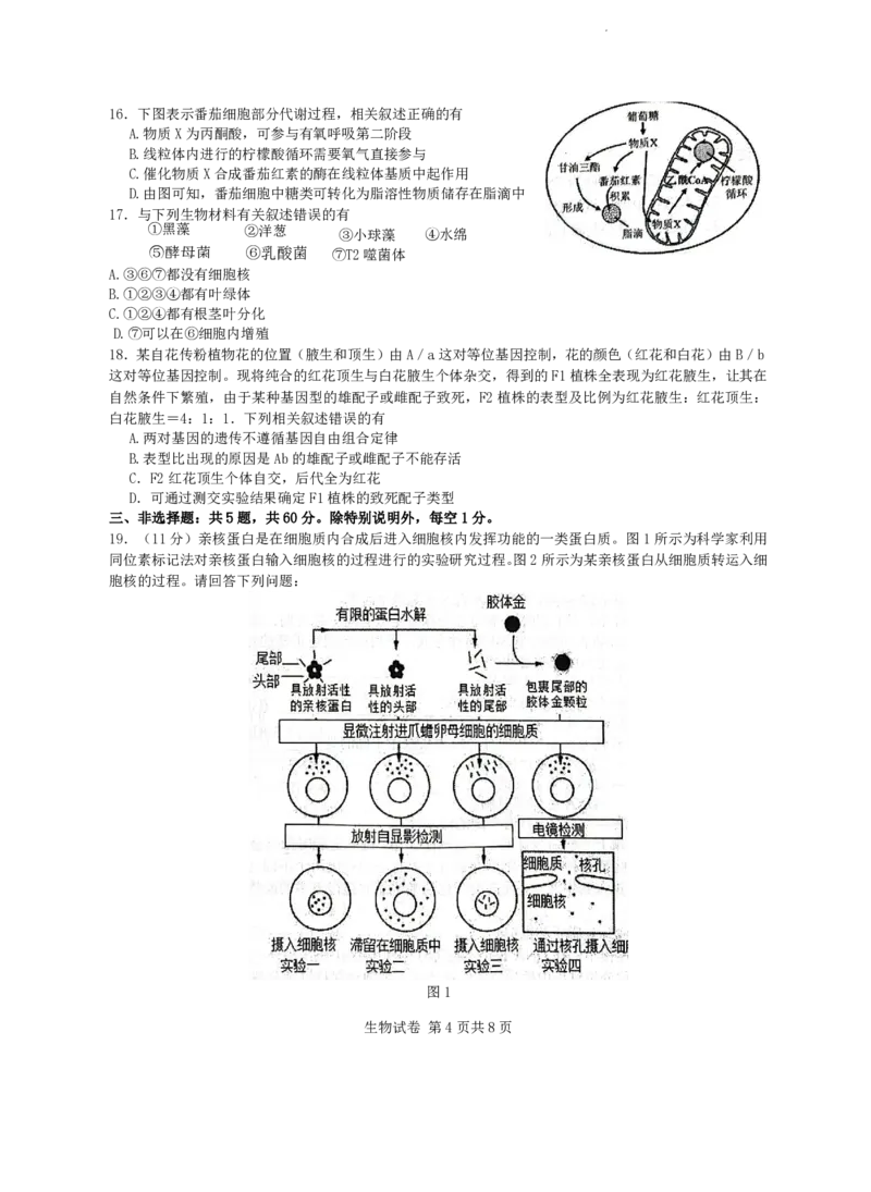 江苏省盐城市2024届高三上学期期中考试生物(1)_2023年11月_01每日更新_14号_2024届江苏省盐城市高三上学期期中考试