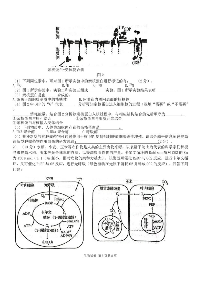 江苏省盐城市2024届高三上学期期中考试生物(1)_2023年11月_01每日更新_14号_2024届江苏省盐城市高三上学期期中考试