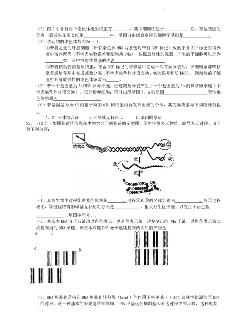 江苏省盐城市2024届高三上学期期中考试生物(1)_2023年11月_01每日更新_14号_2024届江苏省盐城市高三上学期期中考试