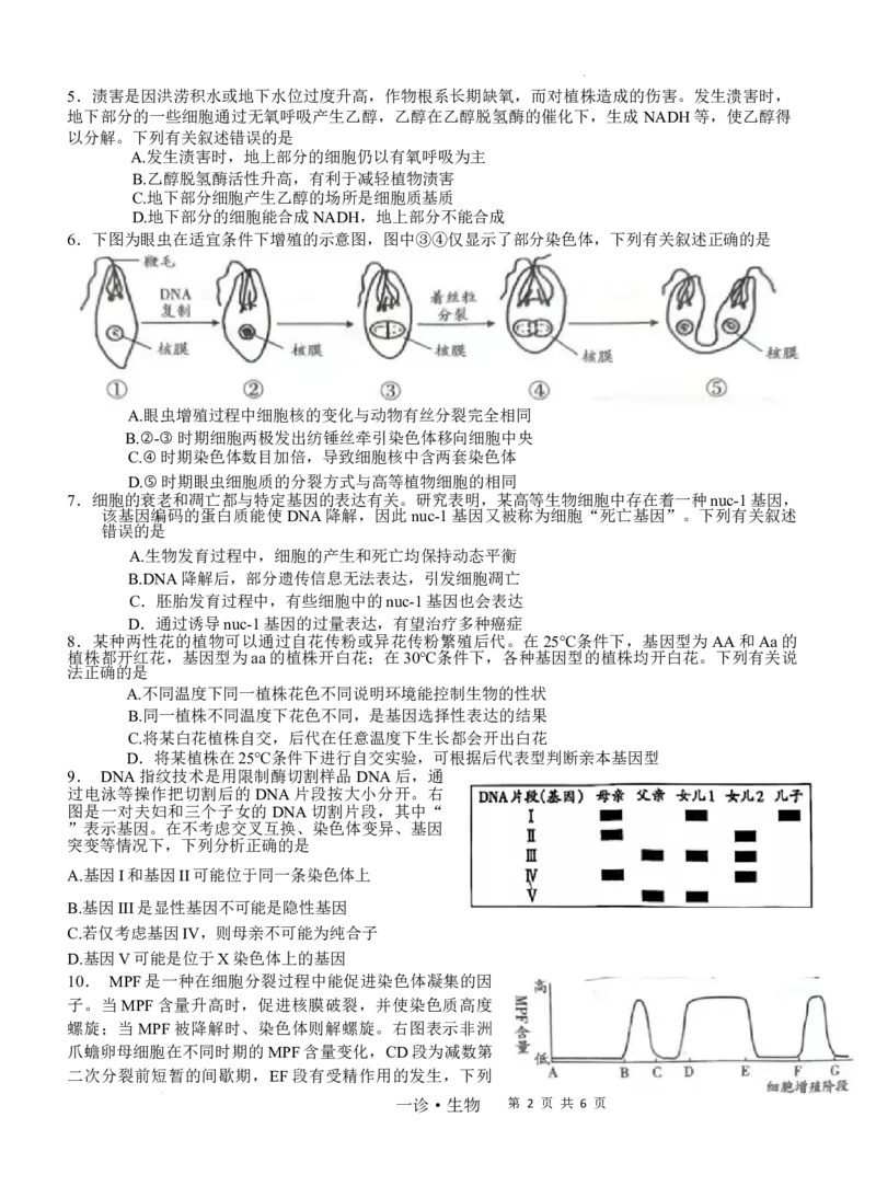 四川省泸州市高2022级第一次教学质量诊断性考试生物_2024-2025高三（6-6月题库）_2024年11月试卷_1130四川省泸州市高2022级第一次教学质量诊断性考试（全科）