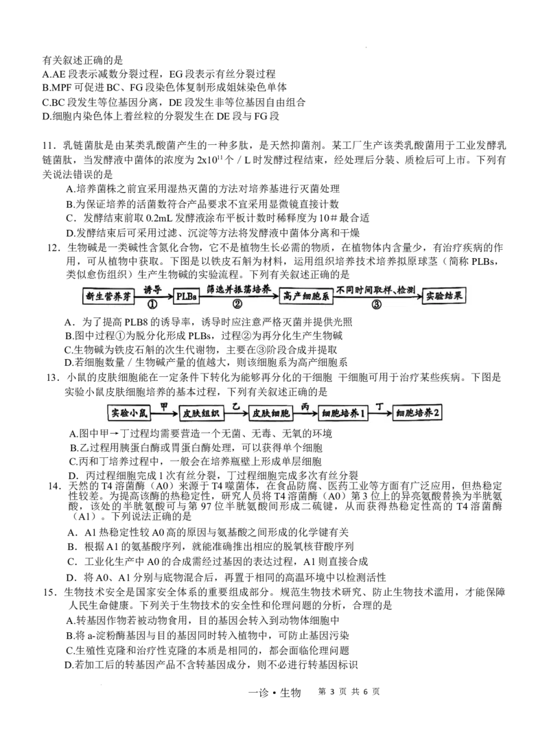 四川省泸州市高2022级第一次教学质量诊断性考试生物_2024-2025高三（6-6月题库）_2024年11月试卷_1130四川省泸州市高2022级第一次教学质量诊断性考试（全科）