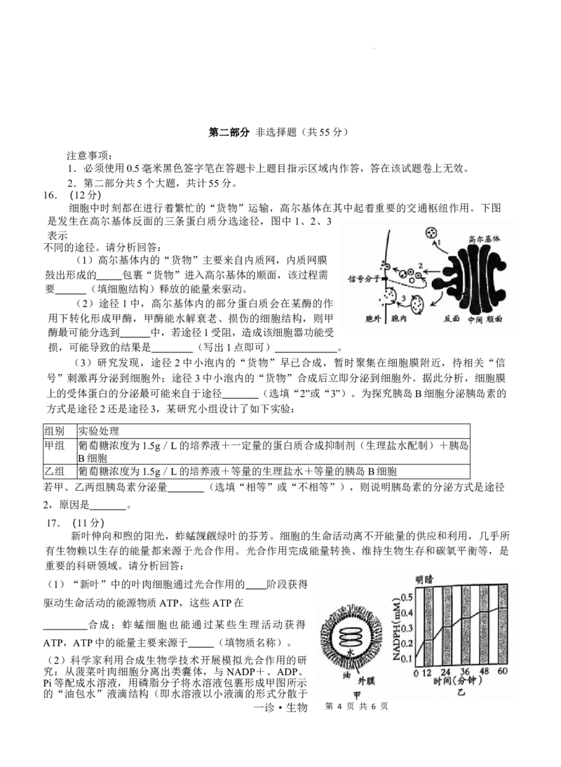 四川省泸州市高2022级第一次教学质量诊断性考试生物_2024-2025高三（6-6月题库）_2024年11月试卷_1130四川省泸州市高2022级第一次教学质量诊断性考试（全科）
