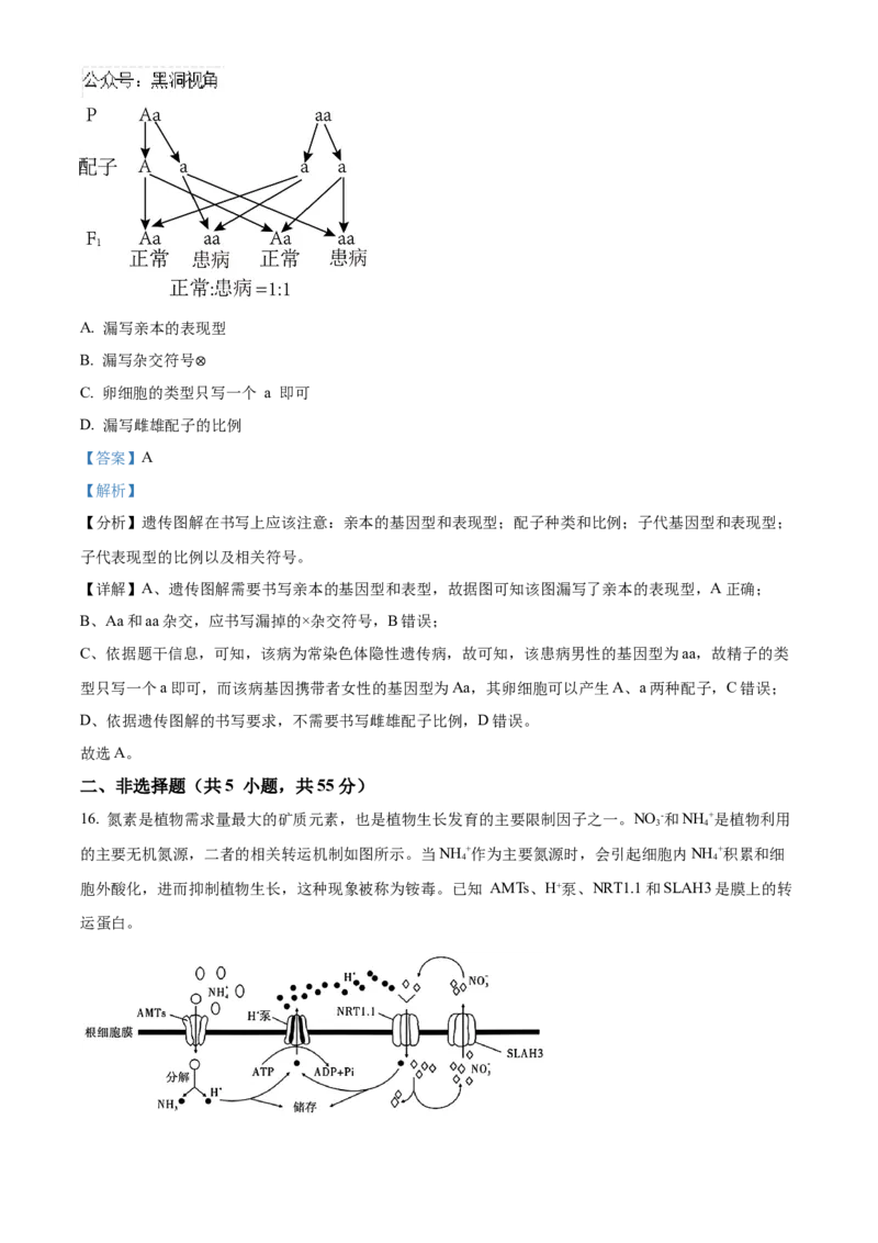 安徽省合肥市一六八中学2024-2025学年高三上学期10月月考试题生物Word版含解析_2024-2025高三（6-6月题库）_2024年10月试卷_1024安徽省合肥市一六八中学2024-2025学年高三上学期10月月考