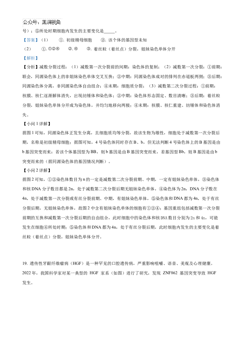 安徽省合肥市一六八中学2024-2025学年高三上学期10月月考试题生物Word版含解析_2024-2025高三（6-6月题库）_2024年10月试卷_1024安徽省合肥市一六八中学2024-2025学年高三上学期10月月考
