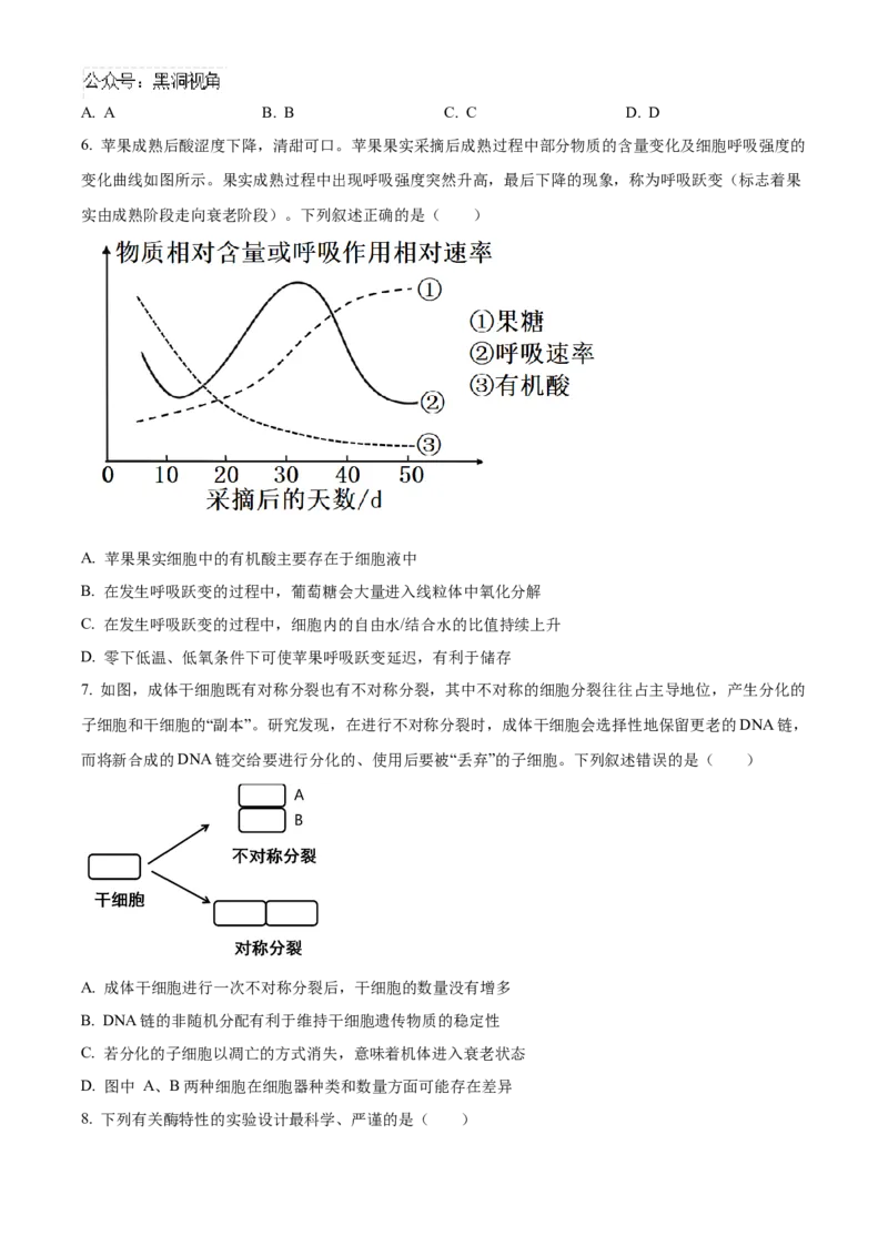 安徽省合肥市一六八中学2024-2025学年高三上学期10月月考试题生物Word版含解析_2024-2025高三（6-6月题库）_2024年10月试卷_1024安徽省合肥市一六八中学2024-2025学年高三上学期10月月考