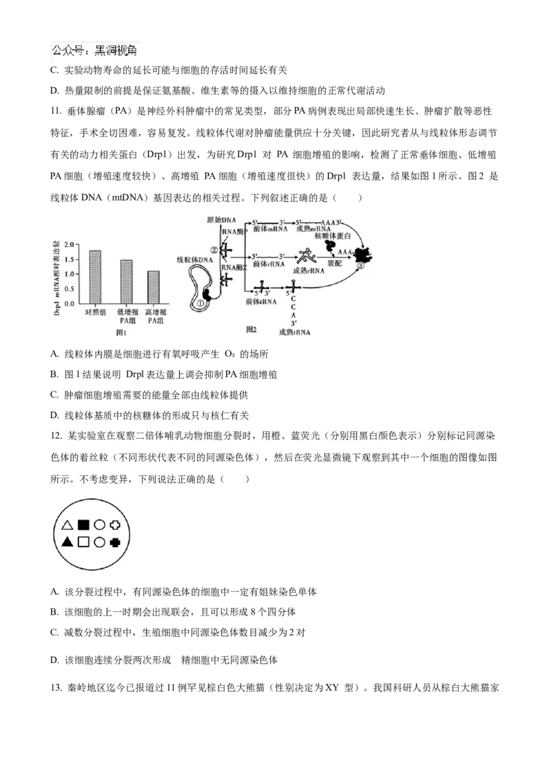 安徽省合肥市一六八中学2024-2025学年高三上学期10月月考试题生物Word版含解析_2024-2025高三（6-6月题库）_2024年10月试卷_1024安徽省合肥市一六八中学2024-2025学年高三上学期10月月考
