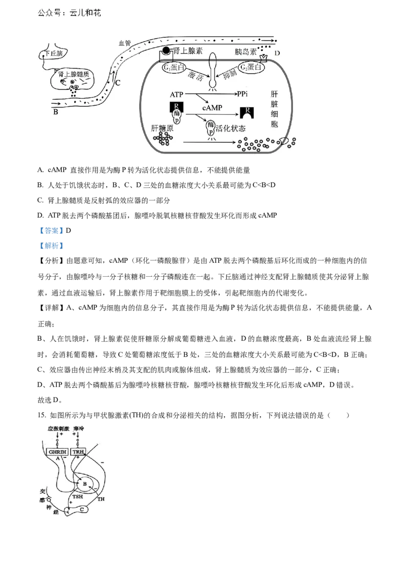 安徽省芜湖市镜湖区安徽师范大学附属中学2023-2024学年高二下学期6月测试生物试题（含答案）_2024-2025高二（7-7月题库）_2024年07月试卷_07022024安徽师范大学附属中学高二下学期6月测试