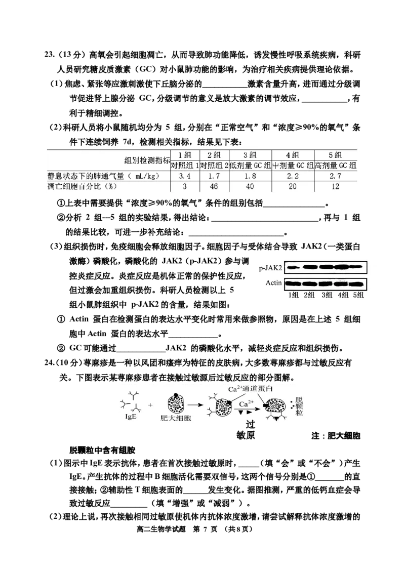 25-10高二初稿7123456(1)_2025年11月高二试卷_251103吉林省吉林市普通高中2025-2026学年高二上学期期中考试（全）_吉林省吉林市普通高中2025-2026学年高二上学期期中考试生物Word版含答案