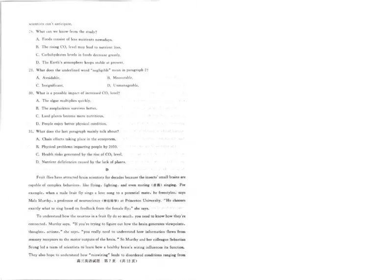 山东名校考试联盟2024-2025学年高三上学期期中检测英语试题（含答案）_2024-2025高三（6-6月题库）_2024年11月试卷_11152025届山东名校考试联盟高三上学期期中检测（全科）