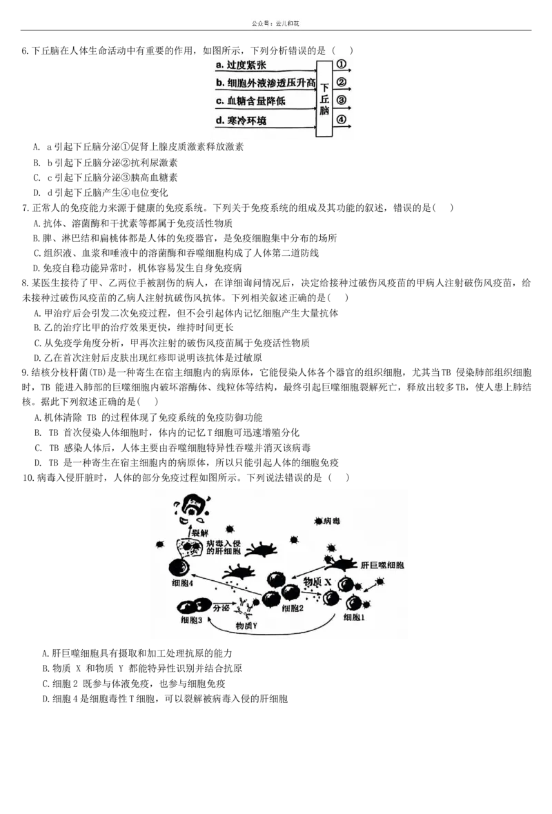 广西&ldquo;&ldquo;贵百河&mdash;&mdash;武鸣高中&rdquo;2024-2025学年高二上学期11月新高考月考测试生物试题（无答案）_2024-2025高二（7-7月题库）_2024年12月试卷