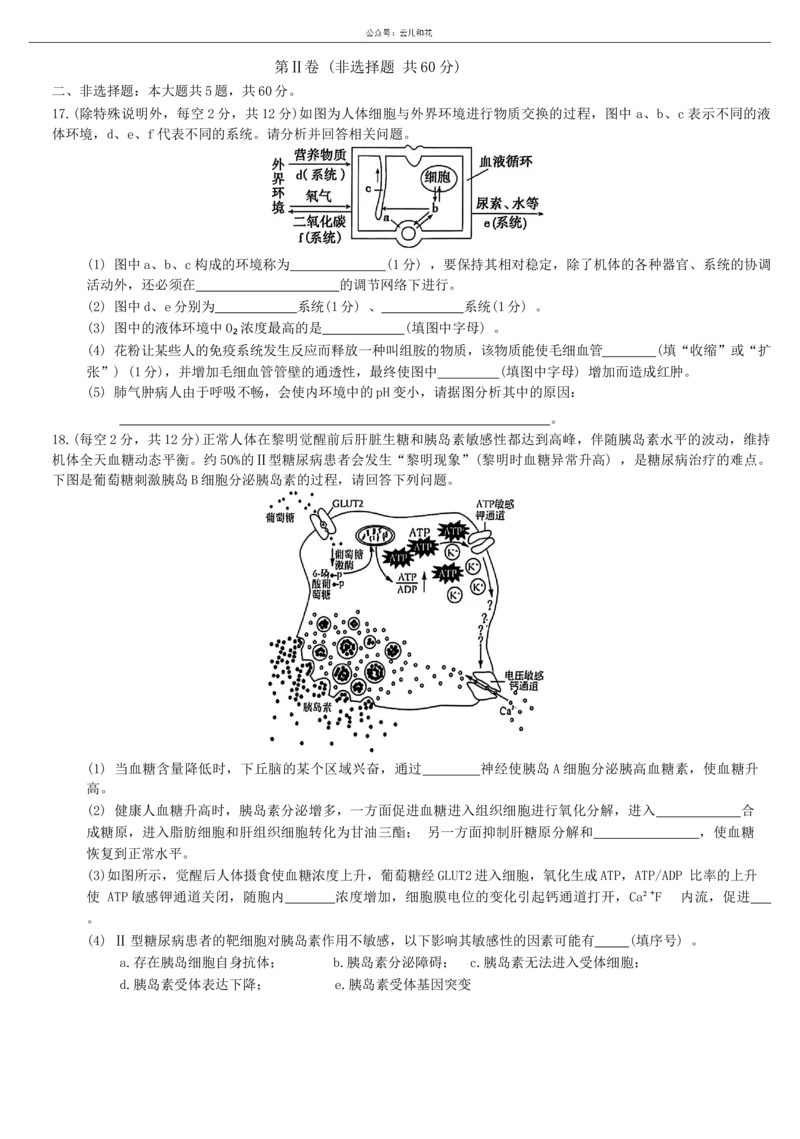 广西&ldquo;&ldquo;贵百河&mdash;&mdash;武鸣高中&rdquo;2024-2025学年高二上学期11月新高考月考测试生物试题（无答案）_2024-2025高二（7-7月题库）_2024年12月试卷