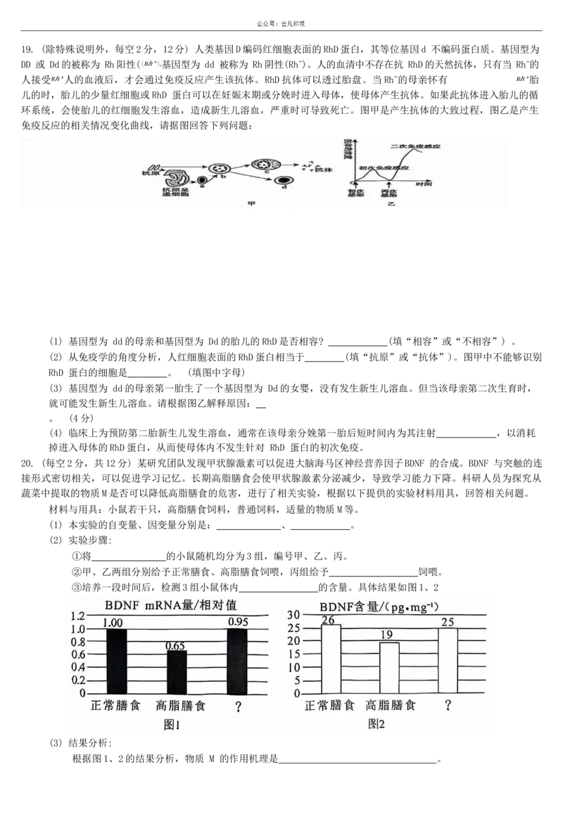 广西&ldquo;&ldquo;贵百河&mdash;&mdash;武鸣高中&rdquo;2024-2025学年高二上学期11月新高考月考测试生物试题（无答案）_2024-2025高二（7-7月题库）_2024年12月试卷