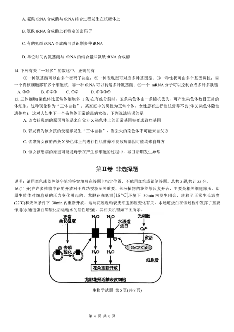 重庆主城区半期高2024届高三第一学期期中考试生物试题_2023年11月_01每日更新_12号_2024届重庆主城九龙坡区高高三第一学期期中考试_重庆主城九龙坡区高2024届高三第一学期期中考试生物