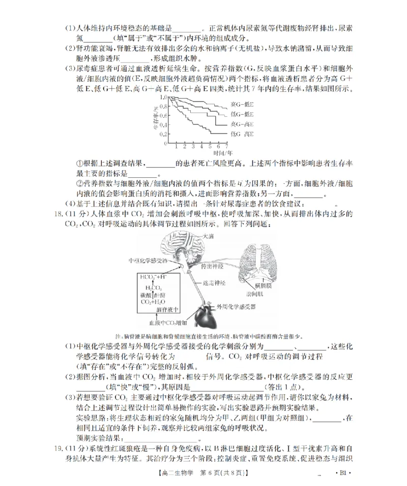 河南省2025-2026年度高二年级上学期第三次月考试卷（26-179B）生物_2024-2025高二（7-7月题库）_2026年1月高二_260107金太阳&middot;河南省2025-2026年度高二年级上学期第三次月考试卷（26-179B）（全）