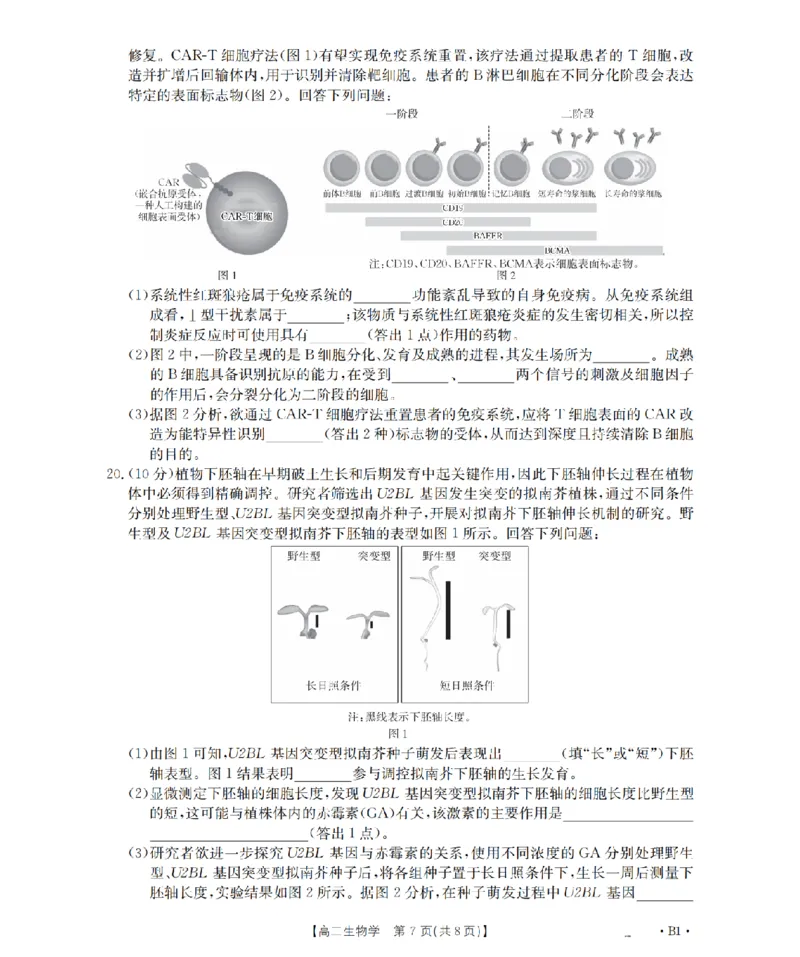 河南省2025-2026年度高二年级上学期第三次月考试卷（26-179B）生物_2024-2025高二（7-7月题库）_2026年1月高二_260107金太阳&middot;河南省2025-2026年度高二年级上学期第三次月考试卷（26-179B）（全）