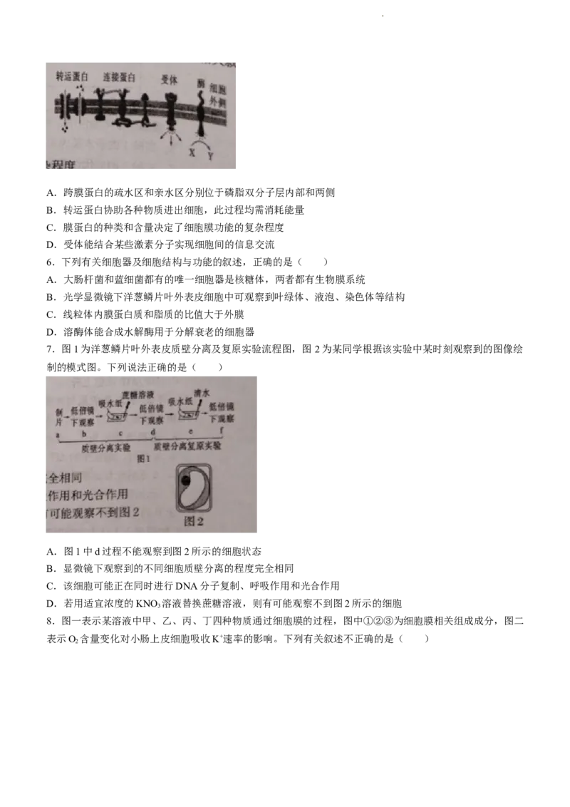 天津市第一百中学2024届高三上学期期中考试生物(1)_2023年11月_01每日更新_17号_2024届天津市第一百中学高三上学期期中考试