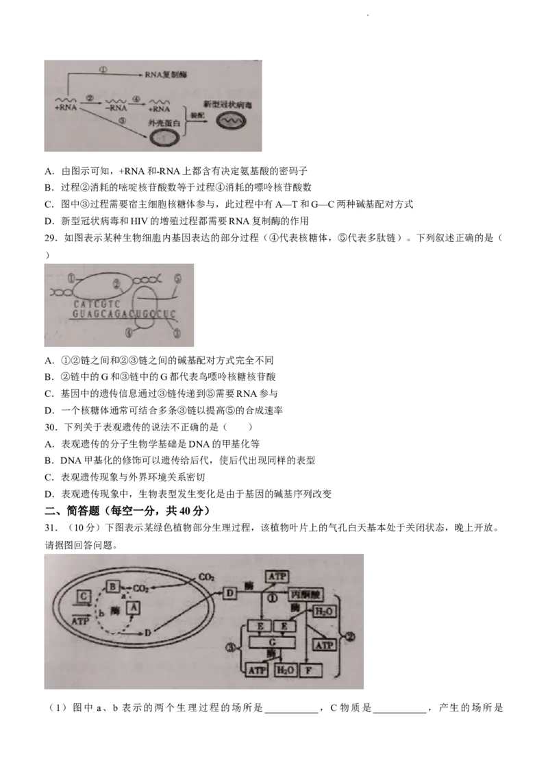 天津市第一百中学2024届高三上学期期中考试生物(1)_2023年11月_01每日更新_17号_2024届天津市第一百中学高三上学期期中考试