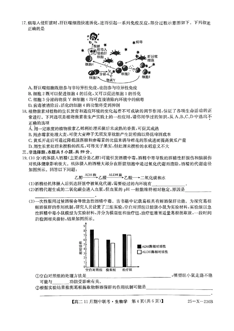 河北省保定市六校2024-2025学年高二上学期11月期中生物试题_2024-2025高二（7-7月题库）_2024年11月试卷_1111河北省保定市六校2024-2025学年高二上学期11月期中