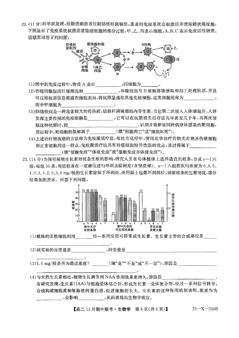 河北省保定市六校2024-2025学年高二上学期11月期中生物试题_2024-2025高二（7-7月题库）_2024年11月试卷_1111河北省保定市六校2024-2025学年高二上学期11月期中