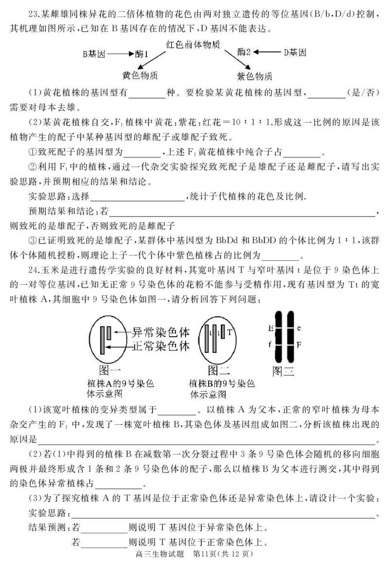 山东省枣庄市滕州市2023-2024学年高三上学期期中考试生物(1)_2023年11月_0211月合集_2024届山东省枣庄市滕州市高三上学期期中考试_山东省枣庄市滕州市2024届高三上学期期中考试生物