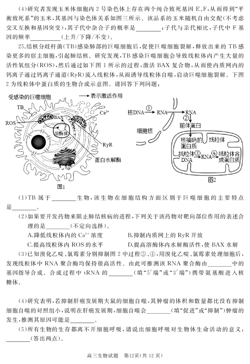 山东省枣庄市滕州市2023-2024学年高三上学期期中考试生物(1)_2023年11月_0211月合集_2024届山东省枣庄市滕州市高三上学期期中考试_山东省枣庄市滕州市2024届高三上学期期中考试生物