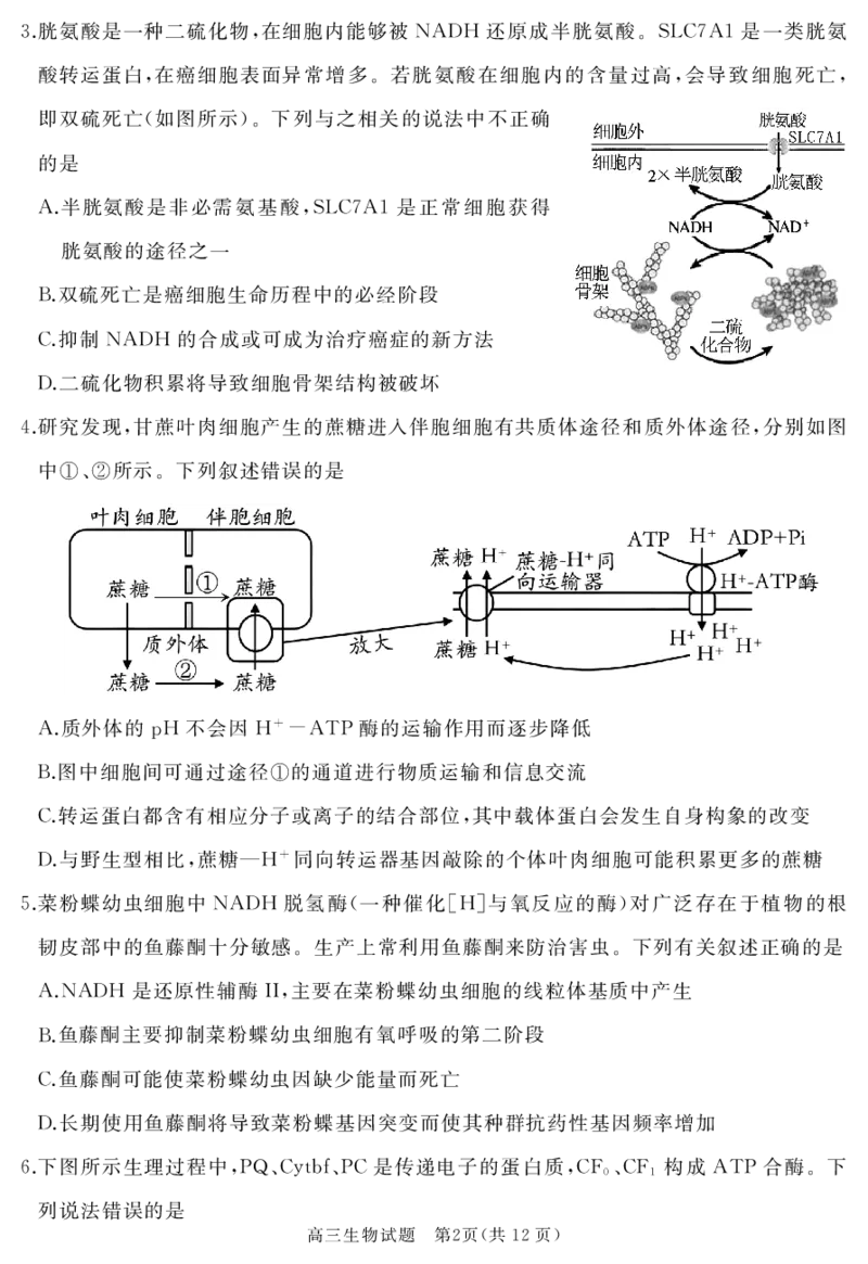 山东省枣庄市滕州市2023-2024学年高三上学期期中考试生物(1)_2023年11月_0211月合集_2024届山东省枣庄市滕州市高三上学期期中考试_山东省枣庄市滕州市2024届高三上学期期中考试生物