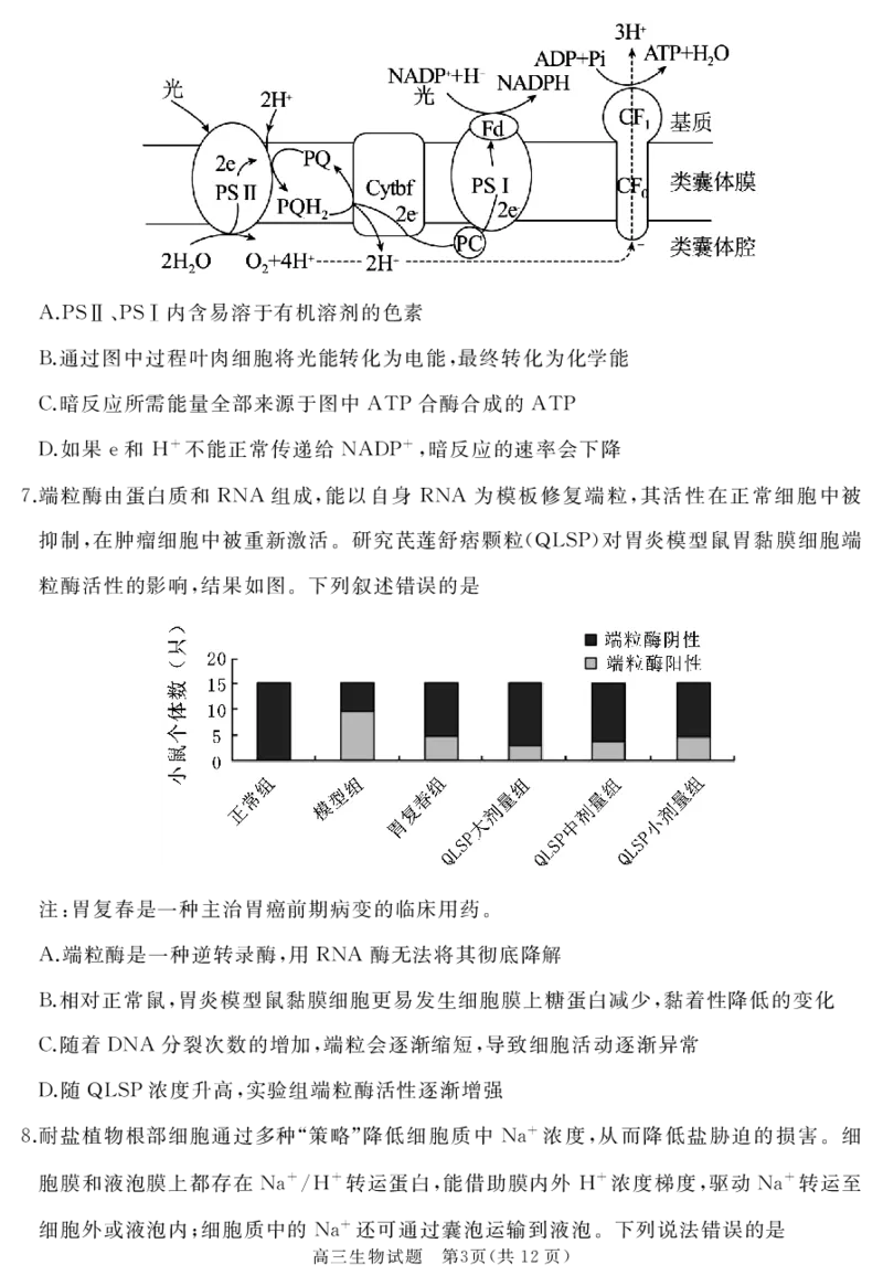 山东省枣庄市滕州市2023-2024学年高三上学期期中考试生物(1)_2023年11月_0211月合集_2024届山东省枣庄市滕州市高三上学期期中考试_山东省枣庄市滕州市2024届高三上学期期中考试生物