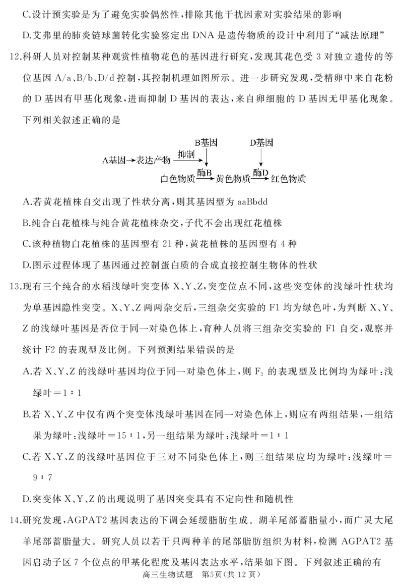 山东省枣庄市滕州市2023-2024学年高三上学期期中考试生物(1)_2023年11月_0211月合集_2024届山东省枣庄市滕州市高三上学期期中考试_山东省枣庄市滕州市2024届高三上学期期中考试生物