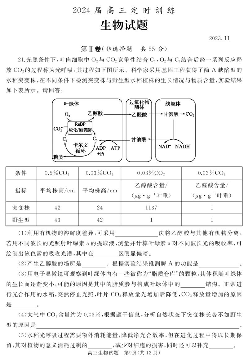 山东省枣庄市滕州市2023-2024学年高三上学期期中考试生物(1)_2023年11月_0211月合集_2024届山东省枣庄市滕州市高三上学期期中考试_山东省枣庄市滕州市2024届高三上学期期中考试生物