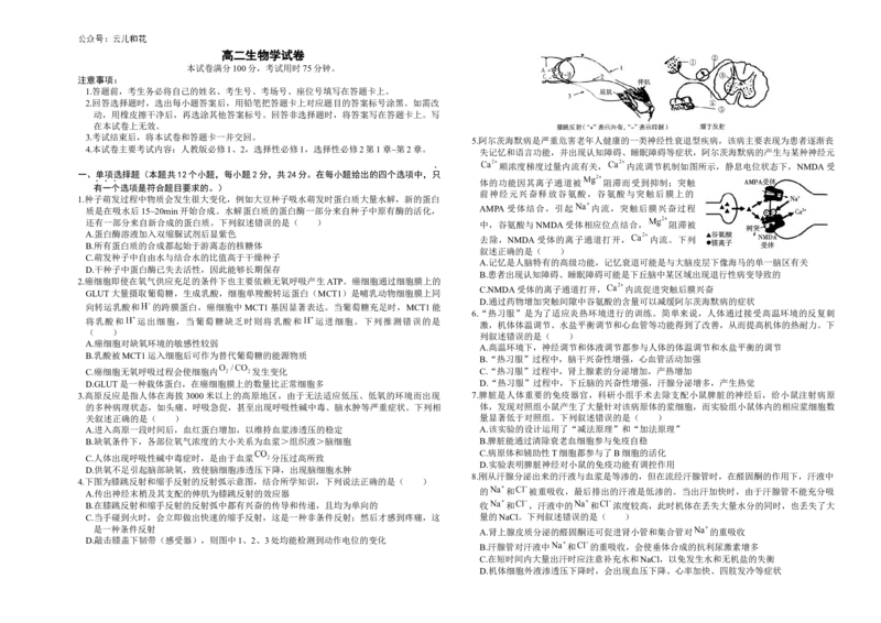 湖南省市县联考（示范性高中）2024-2025学年高二上学期12月月考生物试题_2024-2025高二（7-7月题库）_2025年01月试卷_0108湖南省市县联考（示范性高中）2024-2025学年高二上学期12月月考