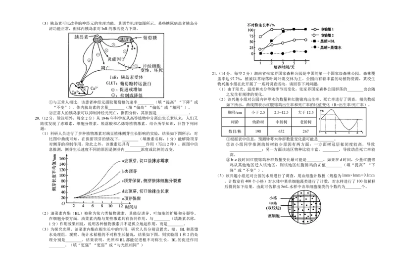 湖南省市县联考（示范性高中）2024-2025学年高二上学期12月月考生物试题_2024-2025高二（7-7月题库）_2025年01月试卷_0108湖南省市县联考（示范性高中）2024-2025学年高二上学期12月月考