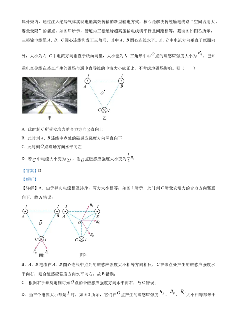 湖北省武昌实验中学2025-2026学年高二上学期12月阶段性检测物理试题Word版含解析_2024-2025高二（7-7月题库）_2026年1月高二_260114湖北省武汉市武昌实验中学2025-2026学年高二上学期12月月考
