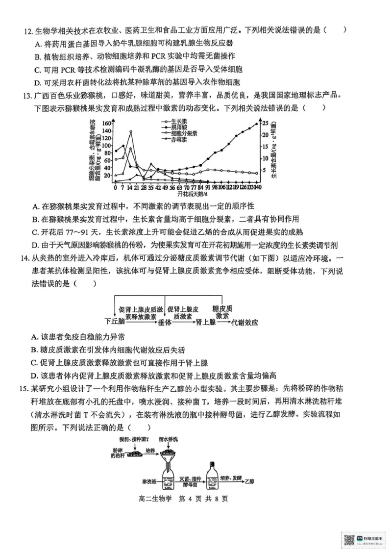 广西壮族自治区&ldquo;贵百河&rdquo;2024-2025学年高二下学期5月月考生物试题（图片版，无答案）_2024-2025高二（7-7月题库）_2025年05月试卷