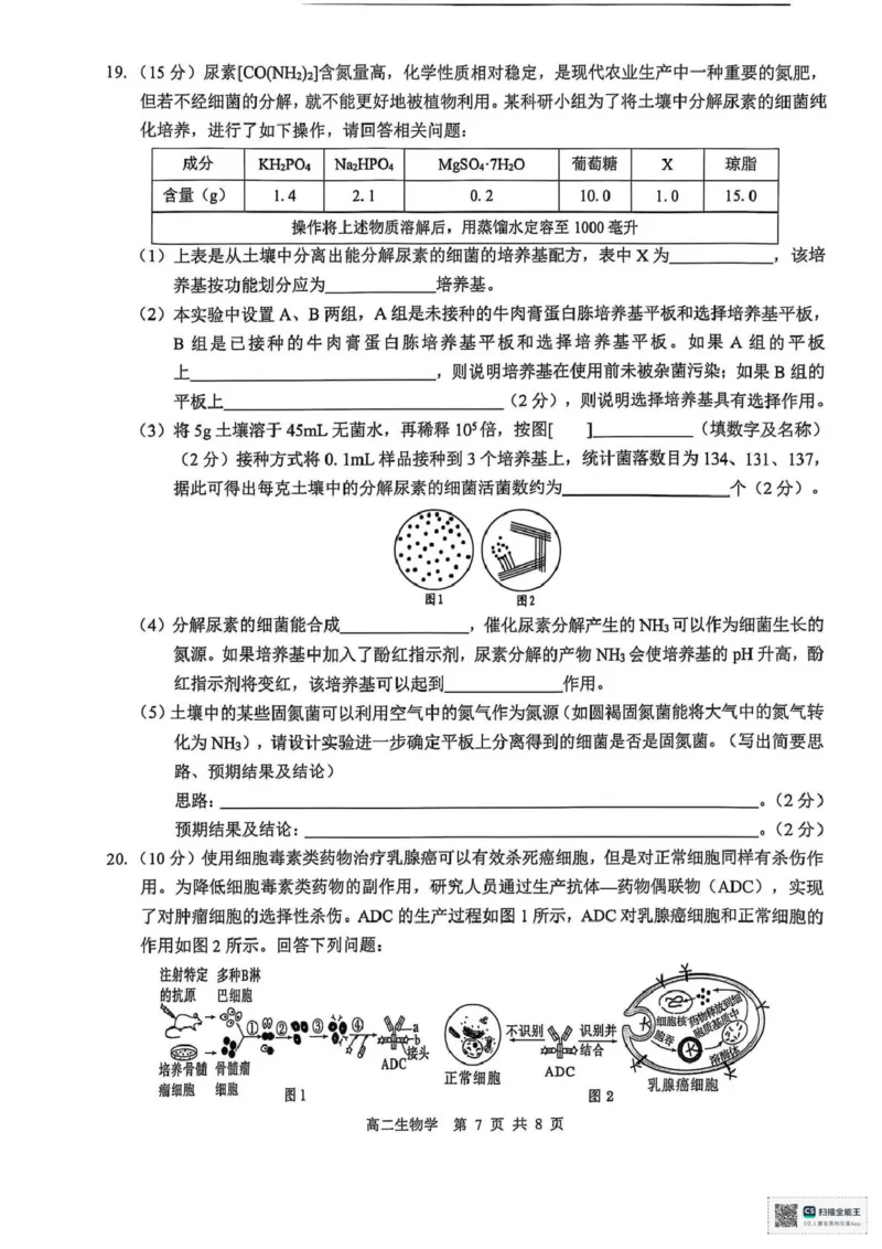 广西壮族自治区&ldquo;贵百河&rdquo;2024-2025学年高二下学期5月月考生物试题（图片版，无答案）_2024-2025高二（7-7月题库）_2025年05月试卷