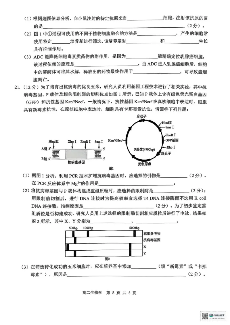 广西壮族自治区&ldquo;贵百河&rdquo;2024-2025学年高二下学期5月月考生物试题（图片版，无答案）_2024-2025高二（7-7月题库）_2025年05月试卷