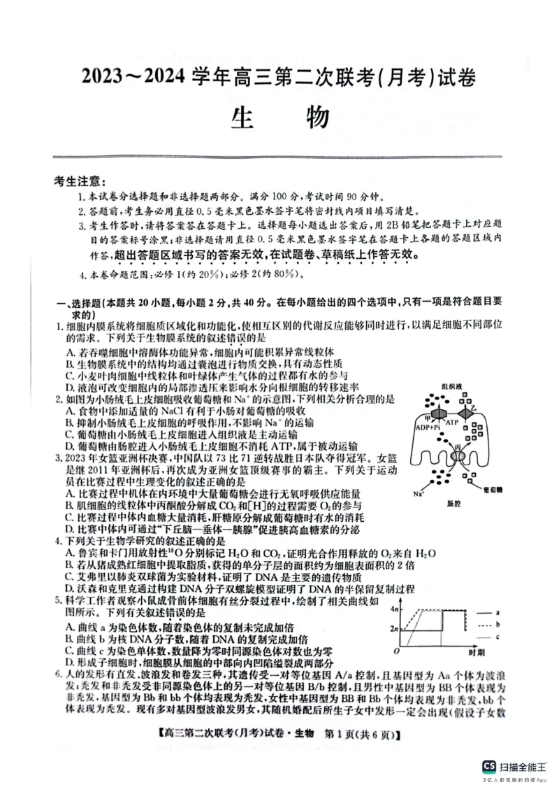 生物(1)_2023年11月_0211月合集_2024届全国名校大联考高三联考（月考）（老教材）_全国名校大联考2023-2024学年高三联考（月考）（老教材）生物