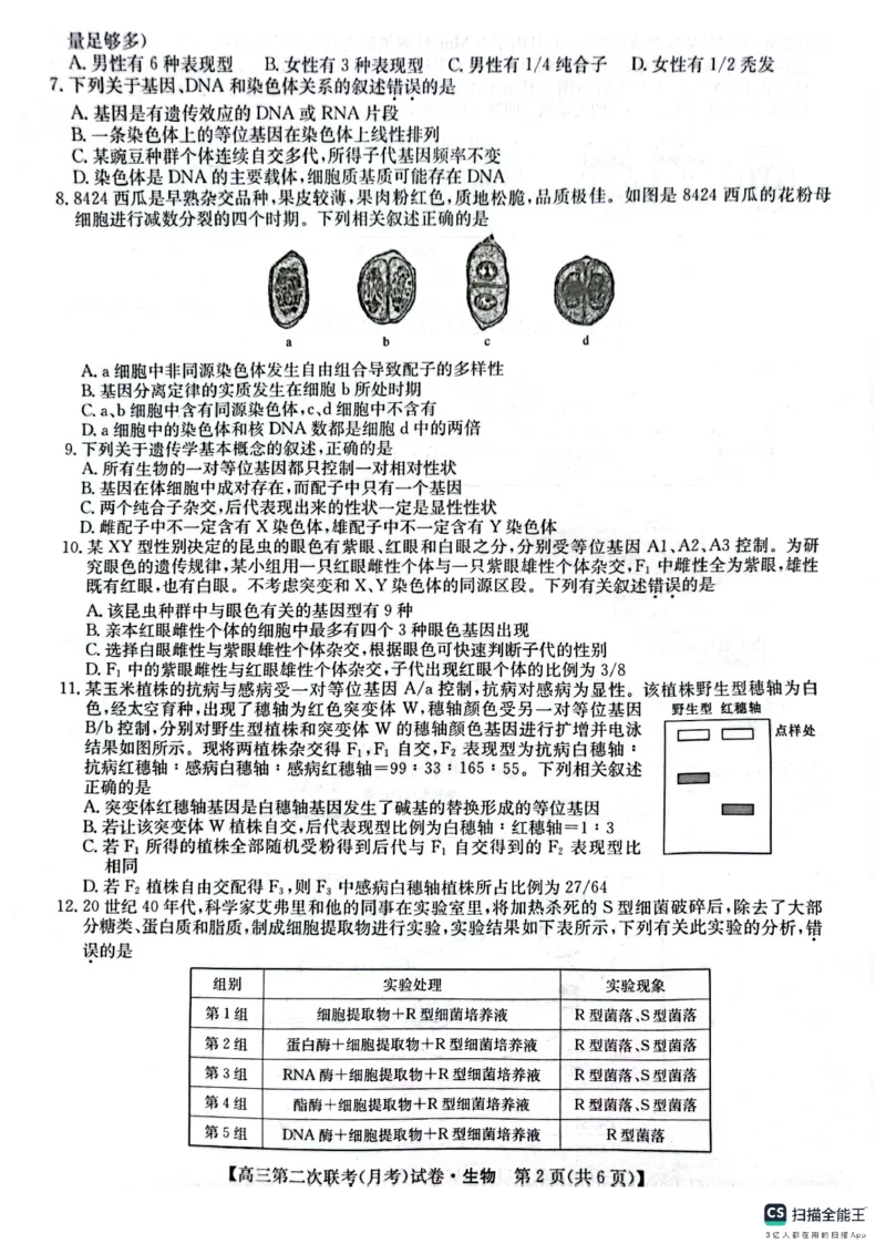 生物(1)_2023年11月_0211月合集_2024届全国名校大联考高三联考（月考）（老教材）_全国名校大联考2023-2024学年高三联考（月考）（老教材）生物