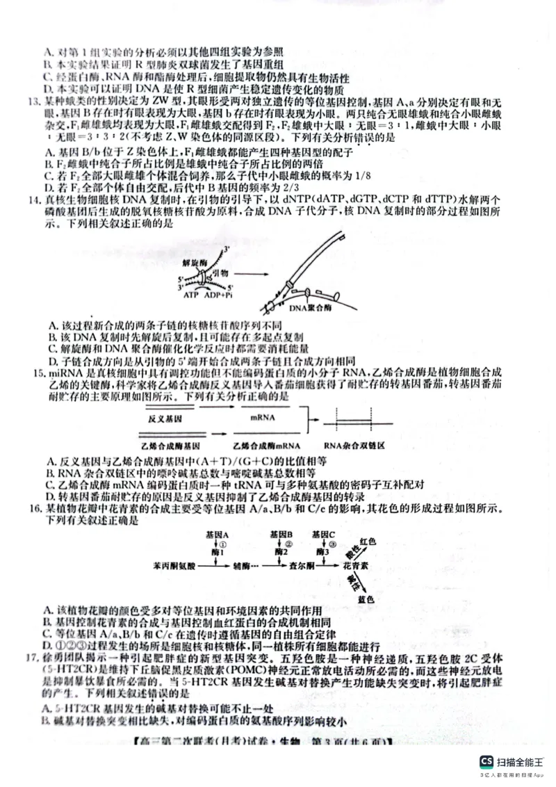 生物(1)_2023年11月_0211月合集_2024届全国名校大联考高三联考（月考）（老教材）_全国名校大联考2023-2024学年高三联考（月考）（老教材）生物