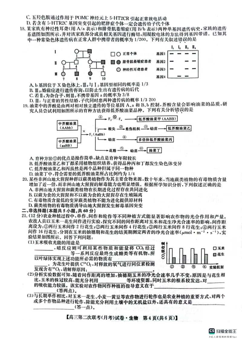 生物(1)_2023年11月_0211月合集_2024届全国名校大联考高三联考（月考）（老教材）_全国名校大联考2023-2024学年高三联考（月考）（老教材）生物