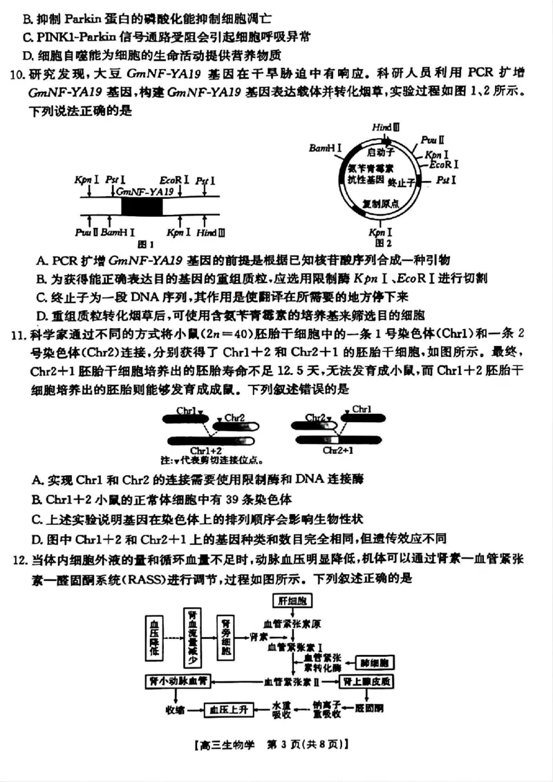 山西省晋城市2025年高三年第一次模拟考试试题（晋城一模）生物A_2024-2025高三（6-6月题库）_2025年02月试卷_0206山西省晋城市2025年高三年第一次模拟考试试题（晋城一模）（全科）
