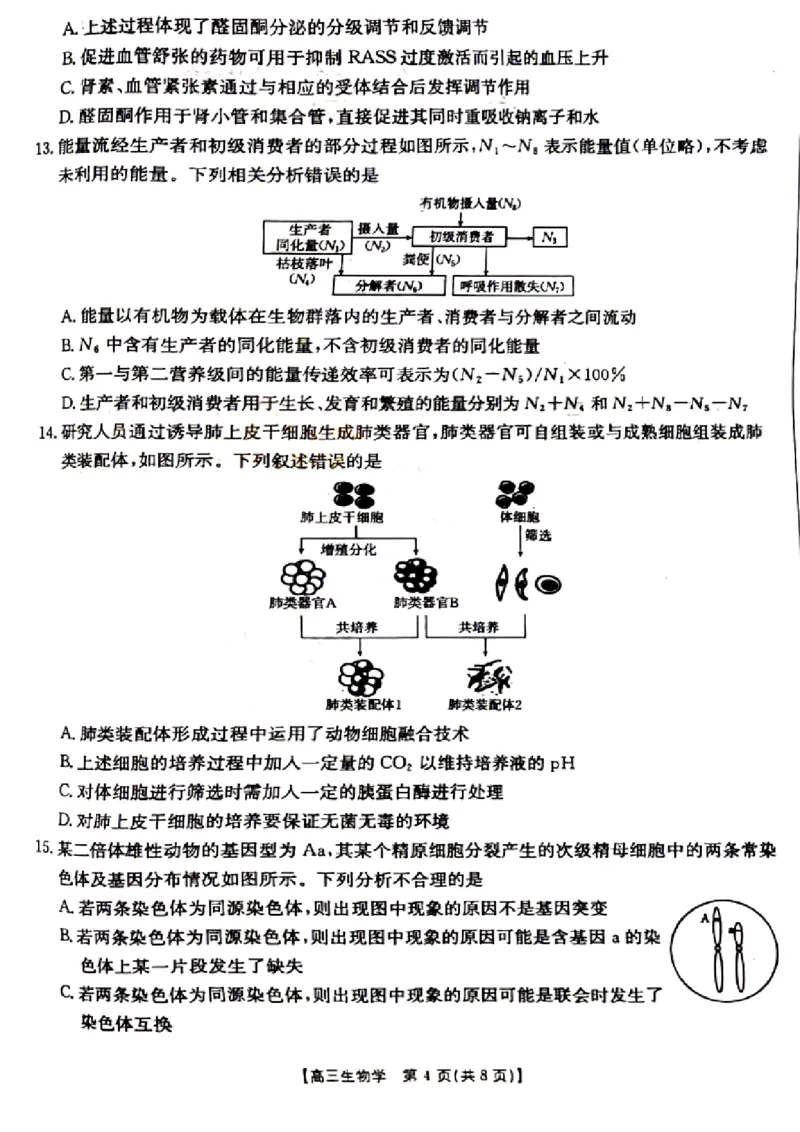 山西省晋城市2025年高三年第一次模拟考试试题（晋城一模）生物A_2024-2025高三（6-6月题库）_2025年02月试卷_0206山西省晋城市2025年高三年第一次模拟考试试题（晋城一模）（全科）