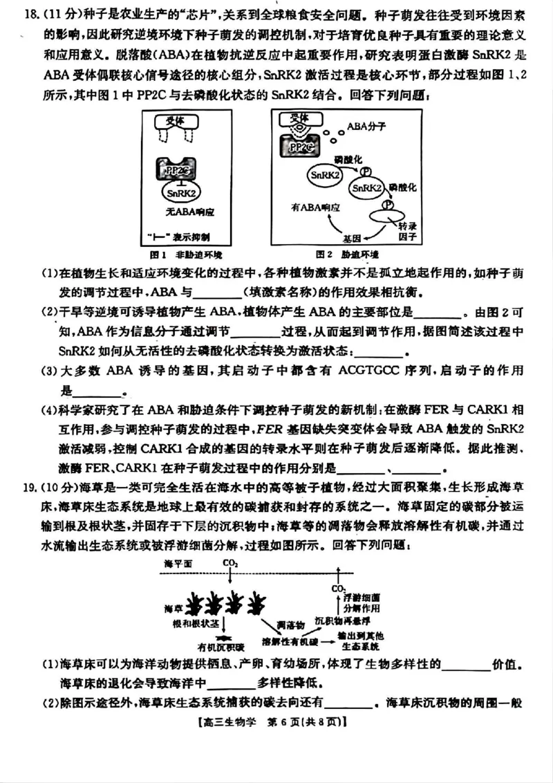 山西省晋城市2025年高三年第一次模拟考试试题（晋城一模）生物A_2024-2025高三（6-6月题库）_2025年02月试卷_0206山西省晋城市2025年高三年第一次模拟考试试题（晋城一模）（全科）