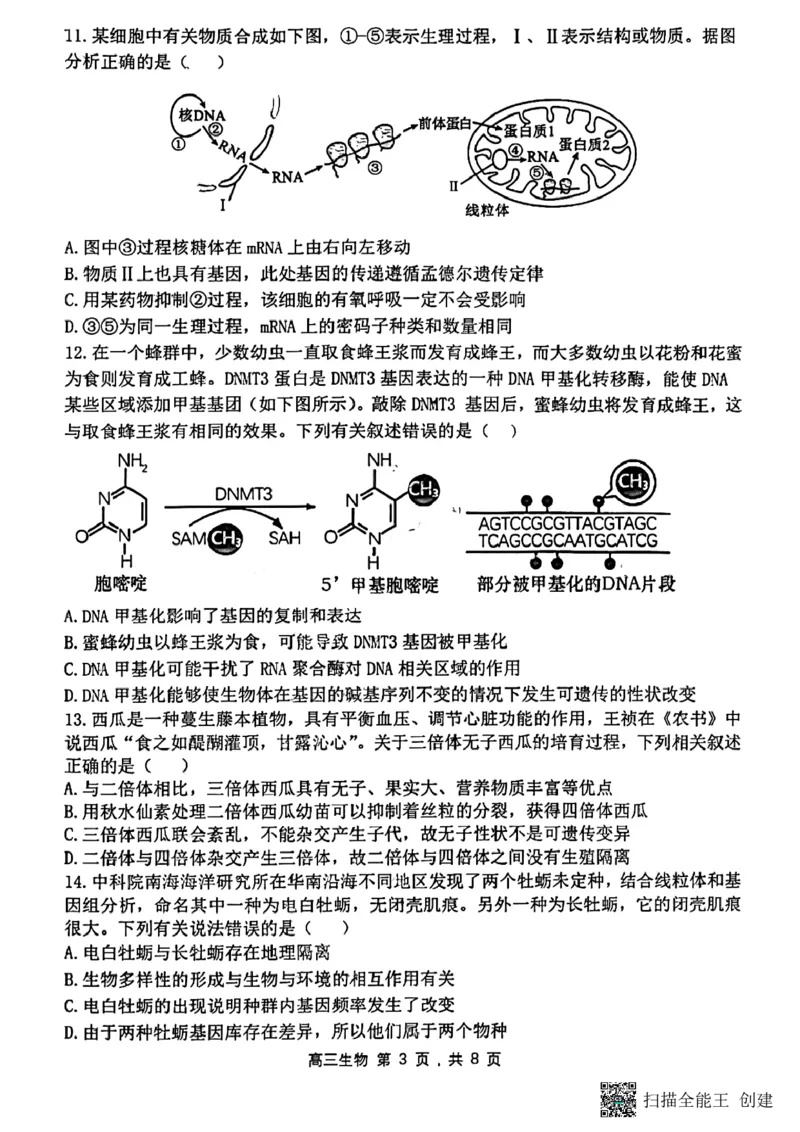 黑龙江省哈尔滨市第三中学校2023-2024学年高三上学期期中考试生物(1)_2023年11月_0211月合集_2024届黑龙江省哈尔滨市市第三中学校高三上学期期中