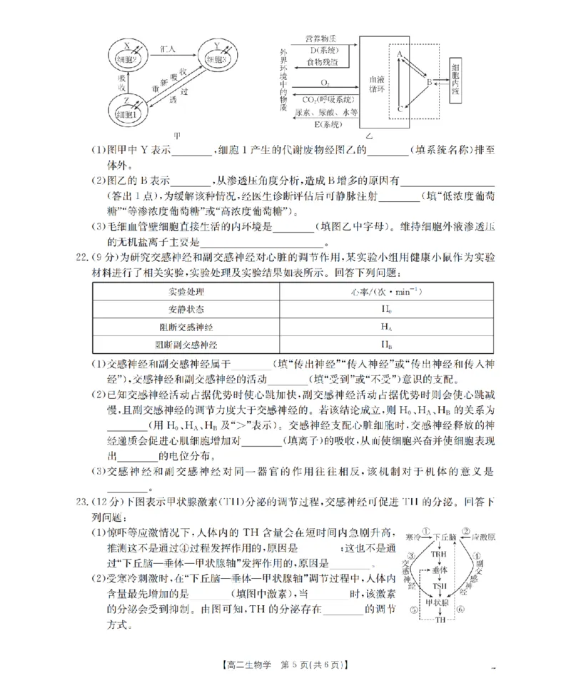 内蒙古赤峰市松山区全市普通高中联盟2025-2026学年高二上学期期中考试（26-141B）生物