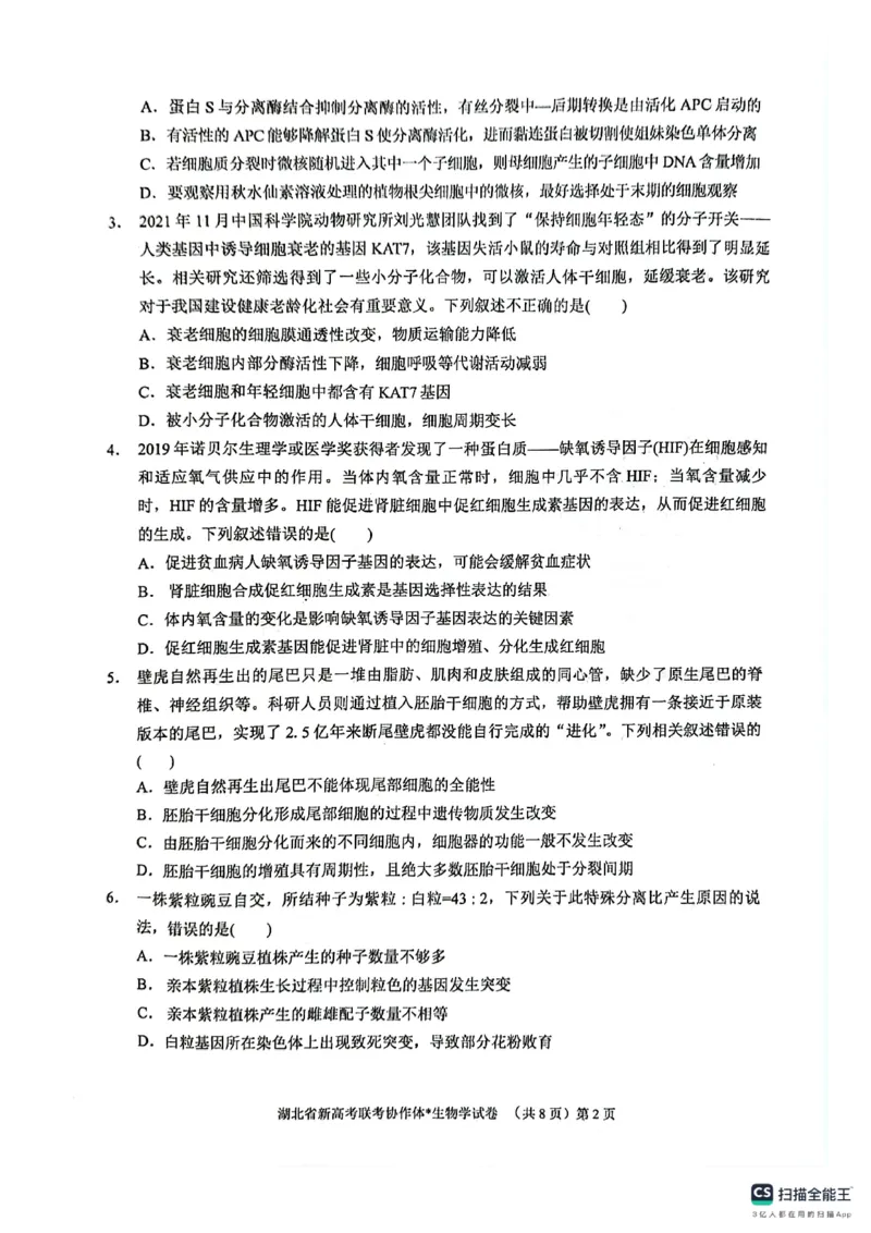 湖北省新高考联考协作体2024-2025学年高二上学期开学考试生物+答案_2024-2025高二（7-7月题库）_2024年09月试卷_0914湖北省新高考联考协作体2024-2025学年高二上学期开学考试