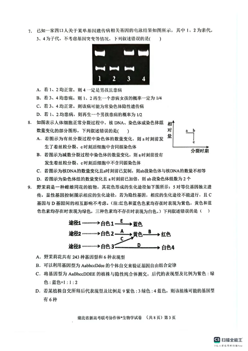 湖北省新高考联考协作体2024-2025学年高二上学期开学考试生物+答案_2024-2025高二（7-7月题库）_2024年09月试卷_0914湖北省新高考联考协作体2024-2025学年高二上学期开学考试